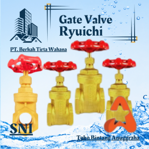 Distributor gate valve ryuichi Pekanbaru