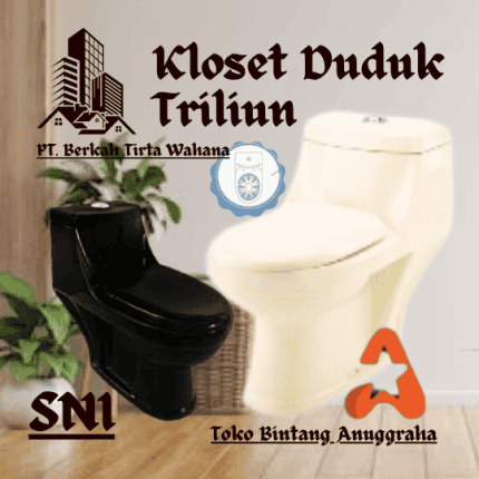 Distributor kloset duduk triliun pekanbaru